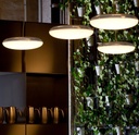 Silverback Suspension Lamp