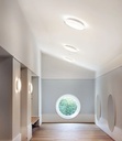 Ripls Wall and Ceiling Light