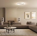 Tidal Ceiling Light