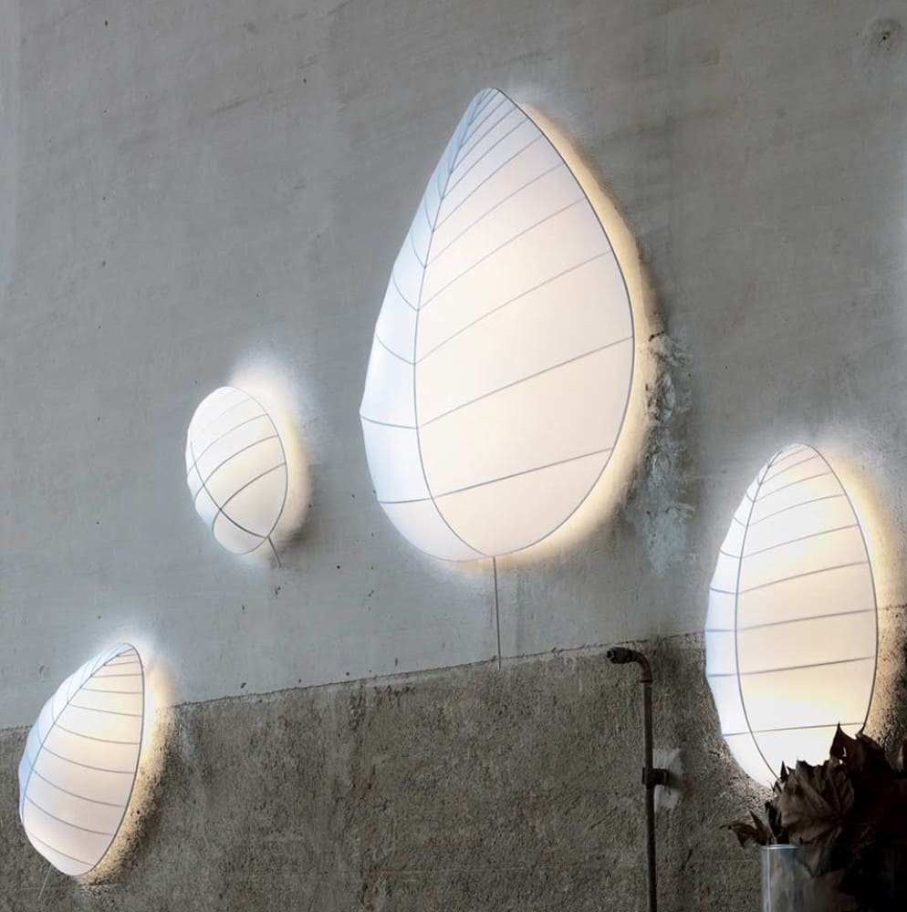 Eden Eva Wall and Ceiling Light