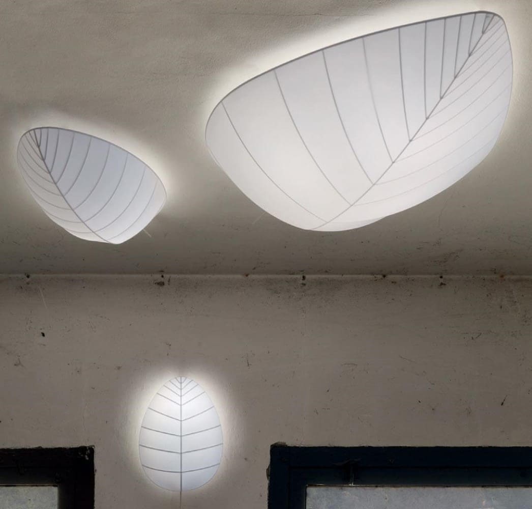 Eden Eva Wall and Ceiling Light