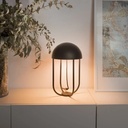 Jellyfish Table Lamp   