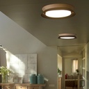 Tender Ceiling Light