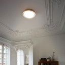 Tender Ceiling Light