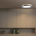 Tender Ceiling Light