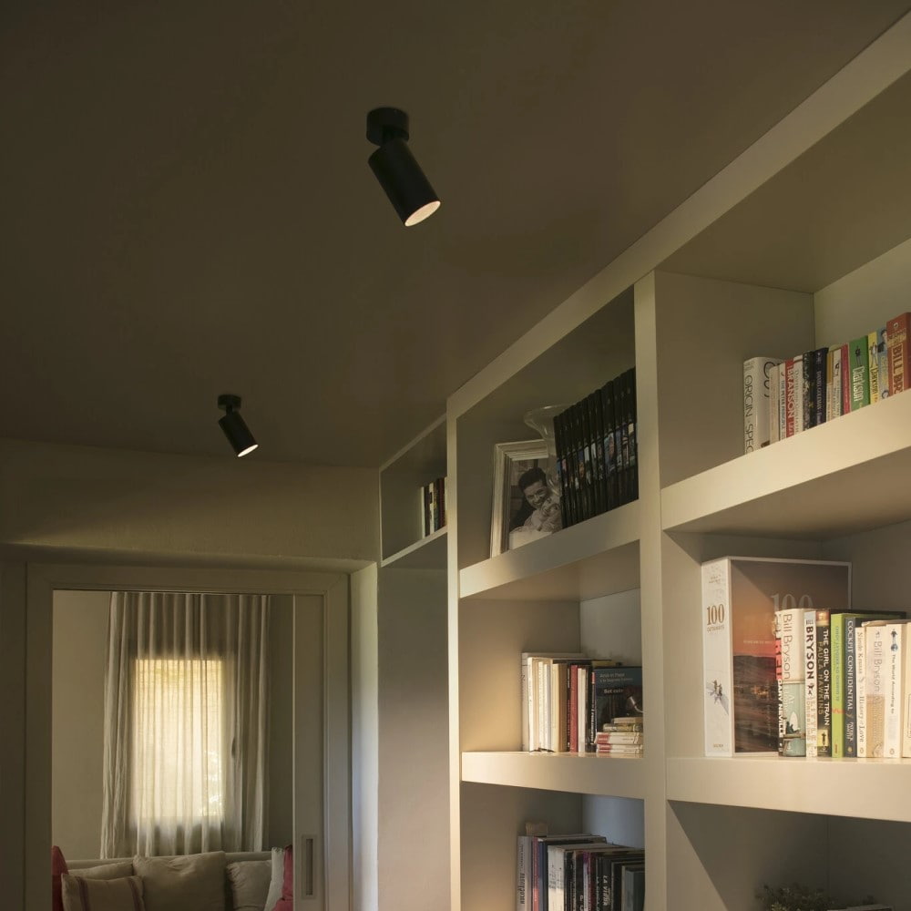 Stan LED Wall and Ceiling Light     