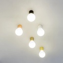 Ten Wall and Ceiling Light                 