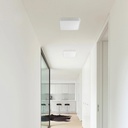 Iris Ceiling and Wall Light