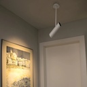 Link Ceiling Light        