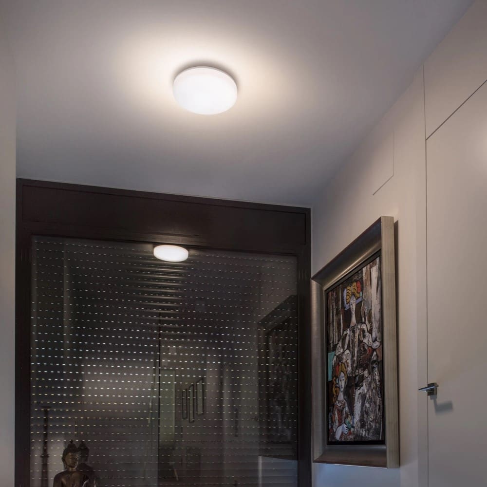 Zon Ceiling Light                        