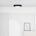 Vuk Ceiling Light