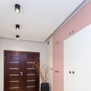 Rel Ceiling Light