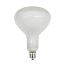 LED Lamp 12W E27 220-240V 2700K R125