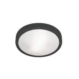 Basic E27 Outdoor Wall and Ceiling Light (Dark Grey, Ø26cm)