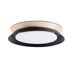 Tender Ceiling Light (Black)