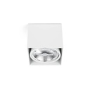 Faro Barcelona Tecto Ceiling Light | lightingonline.eu