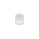 Wever &amp; Ducré Ray Mini 1.0 PAR16 Ceiling Light | lightingonline.eu