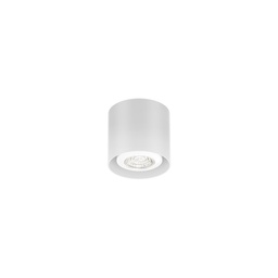 Ray Mini 1.0 PAR16 Ceiling Light (White)