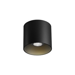 Ray 1.0 PAR16 Ceiling Light (Black)