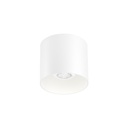 Wever &amp; Ducré Ray 1.0 PAR16 Ceiling Light | lightingonline.eu