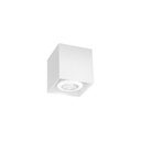 Wever &amp; Ducré Box Mini 1.0 GU10 Ceiling Light | lightingonline.eu