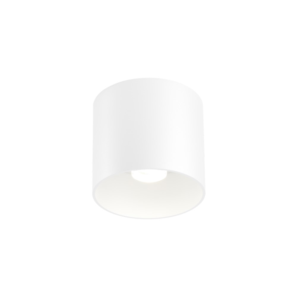 Wever &amp; Ducré Ray 1.0 LED Ceiling Light | lightingonline.eu