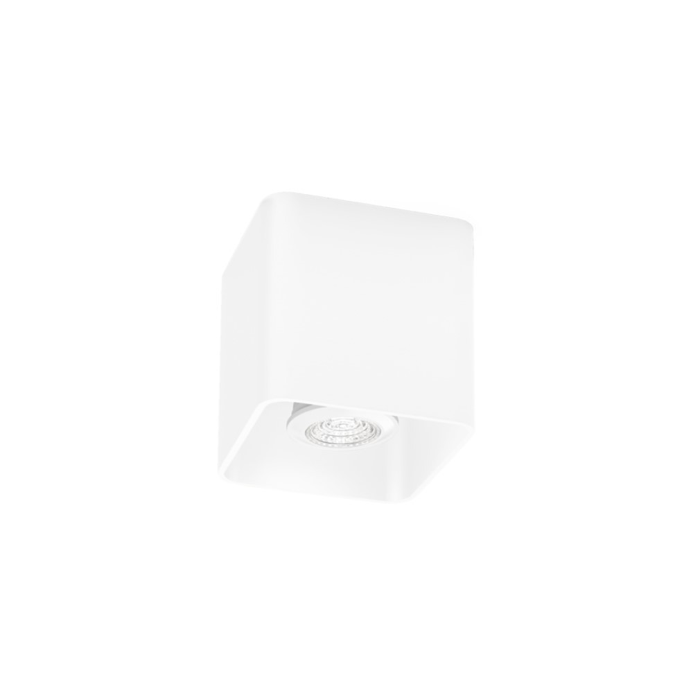 Wever &amp; Ducré Docus 1.0 PAR16 Ceiling Light | lightingonline.eu