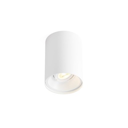 Solid 1.0 PAR16 Ceiling Light (White)