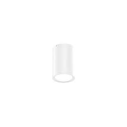 Tram Outdoor Ceiling Light (White)