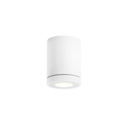 Tube 1.0 PAR16 Outdoor Ceiling Light (White)