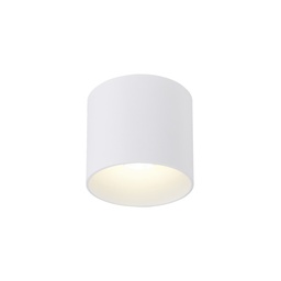 Ray 1.0 Outdoor Ceiling Light (White, 2700K - warm white)