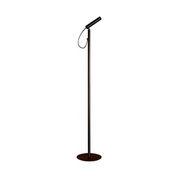 Type Floor Lamp