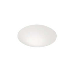 Puck 5412 Wall and Ceiling Light