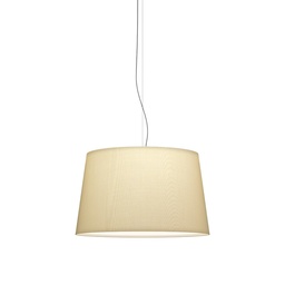 Warm 4925 Suspension Lamp