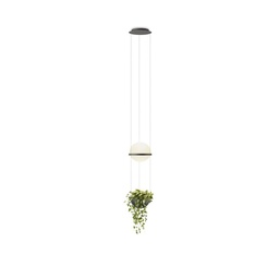 Palma 3724 Suspension Lamp (1-10V / PUSH)