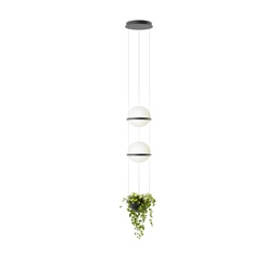 Palma 3728 Suspension Lamp (1-10V / PUSH)