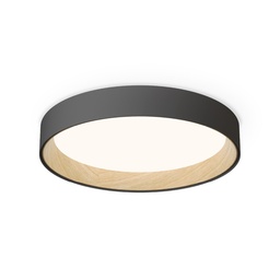 Duo 4872 Ceiling Light (Graphite, 2700K - warm white, DALI-2 / 1-10V / PUSH)