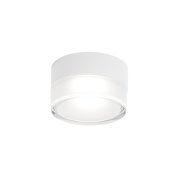 Blas 1.0 Outdoor Ceiling Light (White)