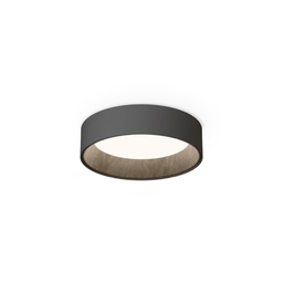 Duo Petra 4871 Ceiling Light (Graphite, 2700K - warm white, DALI-2 / 1-10V / PUSH)