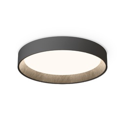 Duo Petra 4873 Ceiling Light (Graphite, 2700K - warm white, DALI-2 / 1-10V / PUSH)