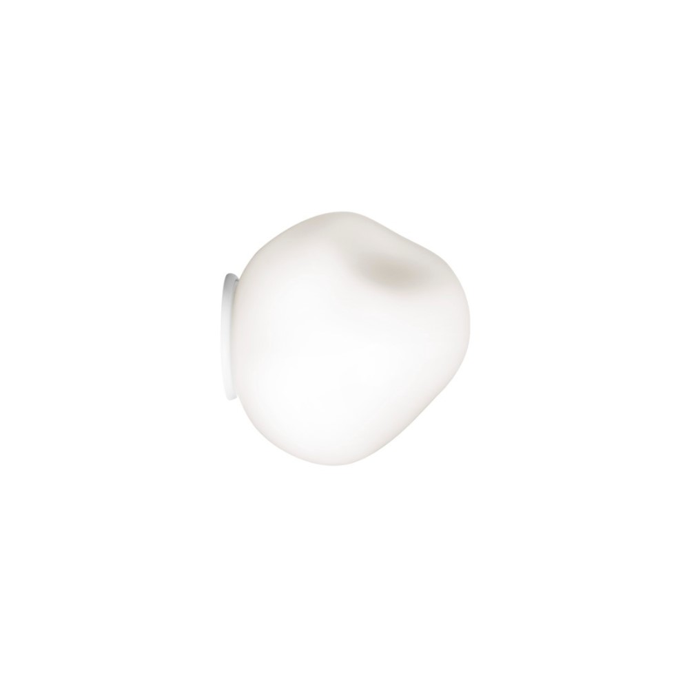 Foscarini Hoba Wall and Ceiling Light | lightingonline.eu