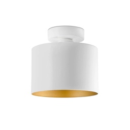 Janet Ceiling Light 