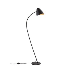 Organic Floor Lamp