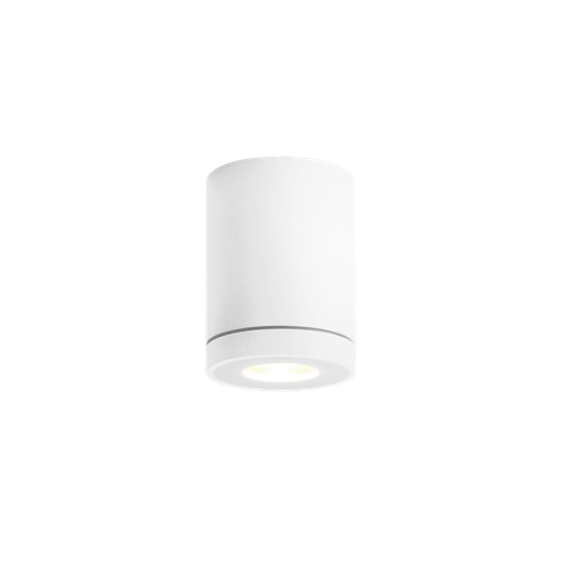 Tube 1.0 PAR16 Outdoor Ceiling Light