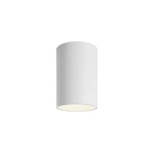 Pivot Ceiling Light