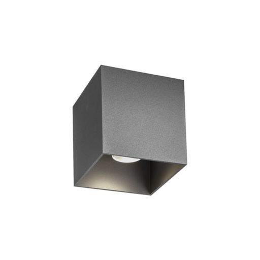 Box 1.0 Outdoor Ceiling Light