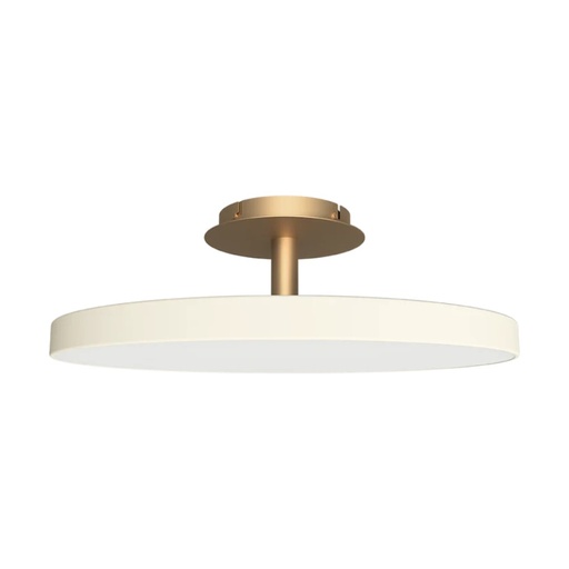 Asteria Up Ceiling Light