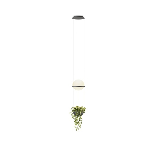 Palma 3724 Suspension Lamp