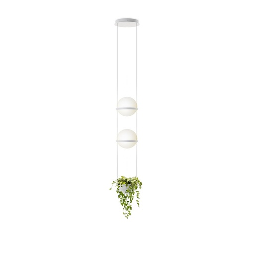 Palma 3728 Suspension Lamp