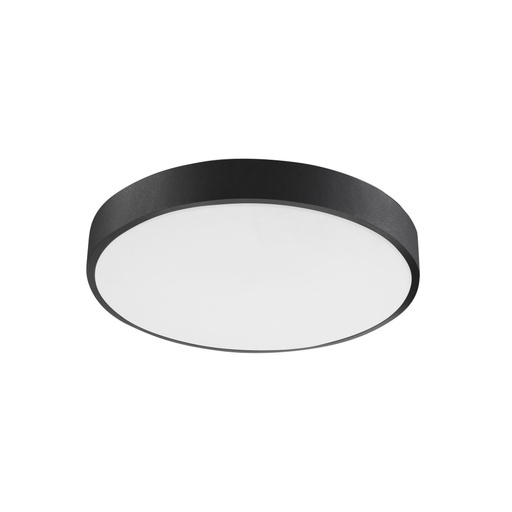 Hadon Ceiling Light